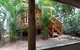 Mandacaru Guest House